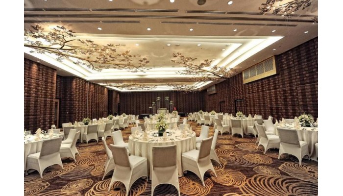 Poza pentru Acacia Hotel Manila 160-1542288281 Acacia Hotel Manila poza 10
